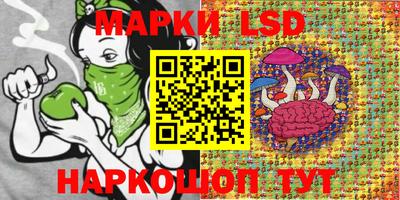 скорость Дубна