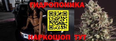 скорость Дубна