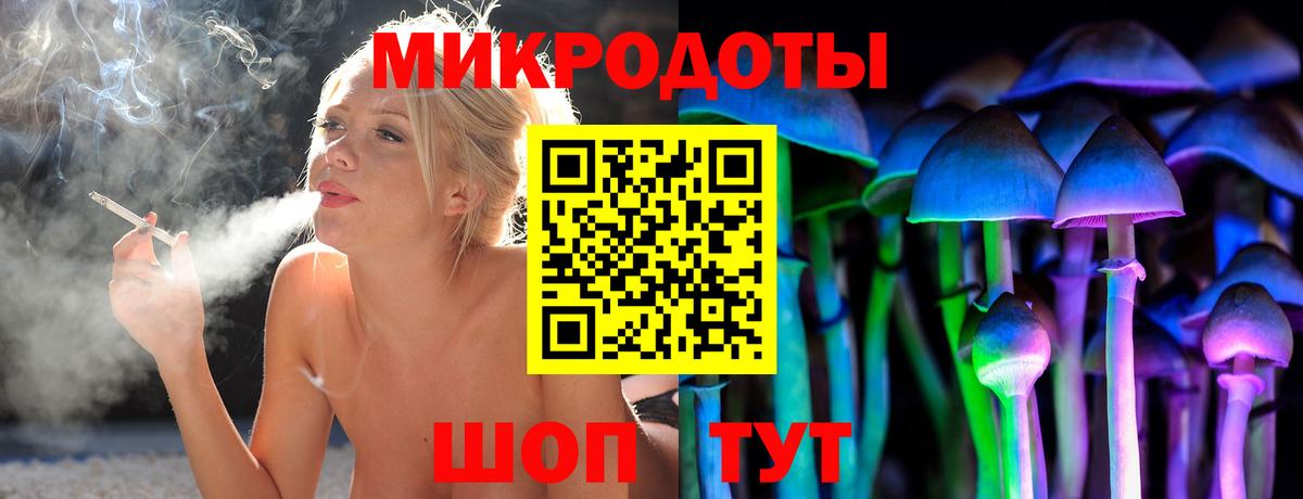 Псилоцибиновые грибы мицелий Междуреченск